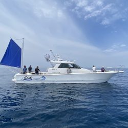 フィッシングボートACE(エース) 釣果