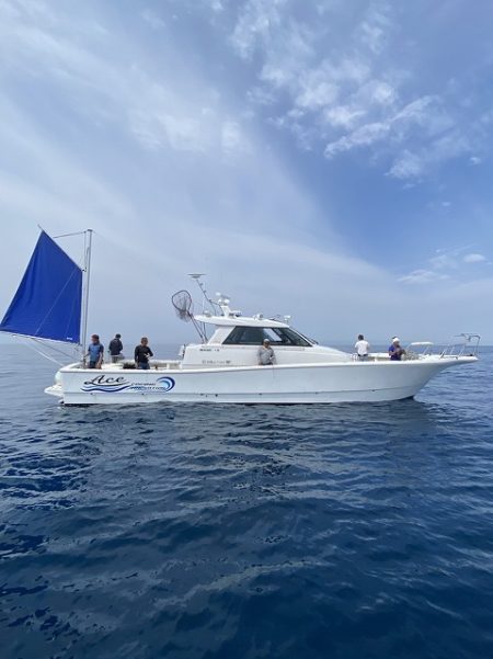 フィッシングボートACE(エース) 釣果