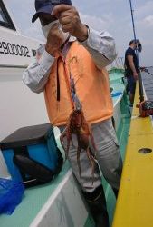 KONAYAーMARU(こなや丸) 釣果