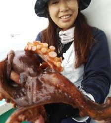 恵比寿丸(兵庫) 釣果