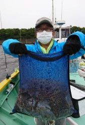 KONAYAーMARU(こなや丸) 釣果