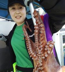 恵比寿丸(兵庫) 釣果