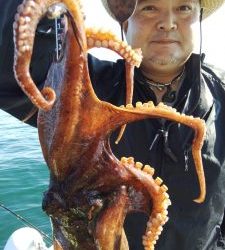 恵比寿丸(兵庫) 釣果