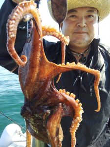 恵比寿丸(兵庫) 釣果