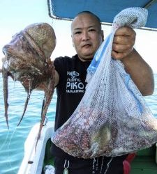 恵比寿丸(兵庫) 釣果