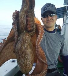 恵比寿丸(兵庫) 釣果