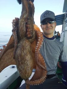 恵比寿丸(兵庫) 釣果