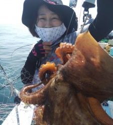 恵比寿丸(兵庫) 釣果