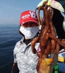 恵比寿丸(兵庫) 釣果