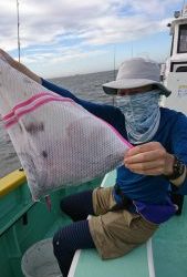 KONAYAーMARU(こなや丸) 釣果