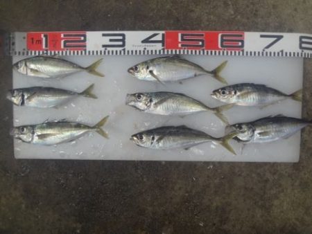 のとじま臨海公園海づりセンター 釣果