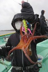 KONAYAーMARU(こなや丸) 釣果