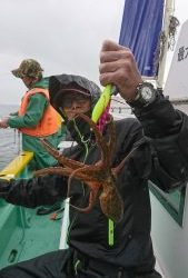 KONAYAーMARU(こなや丸) 釣果