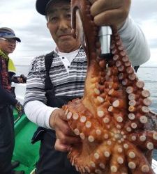 恵比寿丸(兵庫) 釣果