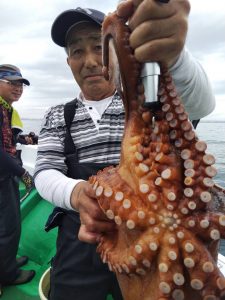 恵比寿丸(兵庫) 釣果