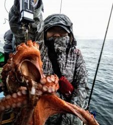 恵比寿丸(兵庫) 釣果