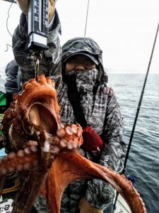 恵比寿丸(兵庫) 釣果