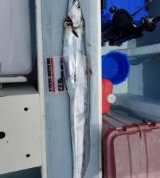 KONAYAーMARU(こなや丸) 釣果