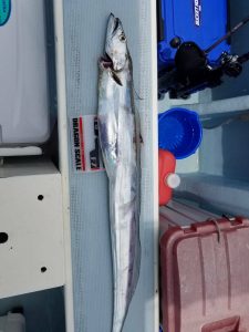 KONAYAーMARU(こなや丸) 釣果