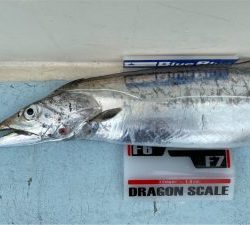 KONAYAーMARU(こなや丸) 釣果