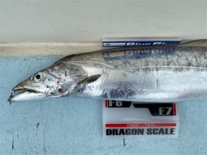 KONAYAーMARU(こなや丸) 釣果