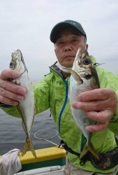 KONAYAーMARU(こなや丸) 釣果