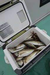 KONAYAーMARU(こなや丸) 釣果