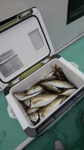 KONAYAーMARU(こなや丸) 釣果