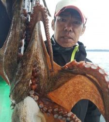 恵比寿丸(兵庫) 釣果