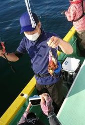 KONAYAーMARU(こなや丸) 釣果