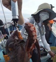 恵比寿丸(兵庫) 釣果