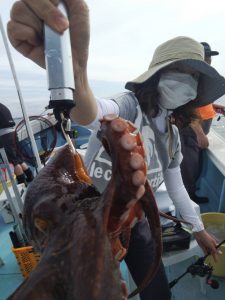 恵比寿丸(兵庫) 釣果