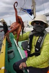 KONAYAーMARU(こなや丸) 釣果