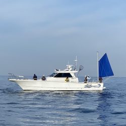 フィッシングボートACE(エース) 釣果