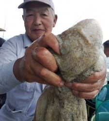 恵比寿丸(兵庫) 釣果