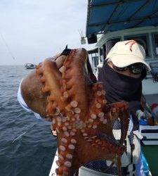 恵比寿丸(兵庫) 釣果