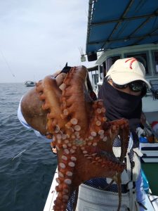 恵比寿丸(兵庫) 釣果