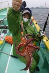 KONAYAーMARU(こなや丸) 釣果