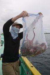 KONAYAーMARU(こなや丸) 釣果