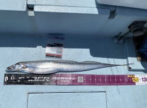 KONAYAーMARU(こなや丸) 釣果