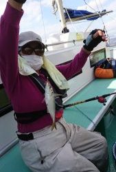 KONAYAーMARU(こなや丸) 釣果