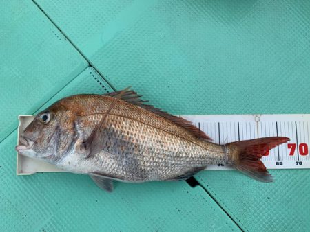 さんさん丸 釣果