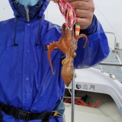 遊漁船 ニライカナイ 釣果