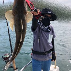 Magic(マジック) 釣果