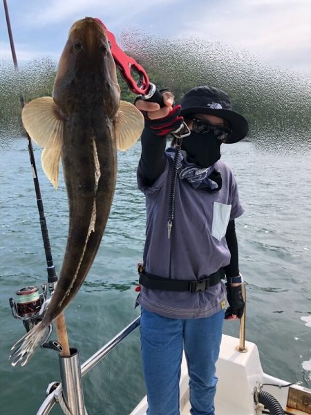 Magic(マジック) 釣果