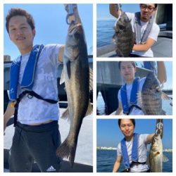 シーマジカル 釣果