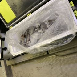 第八大安丸 釣果