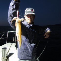 ジギング船 BLUEWATER 釣果