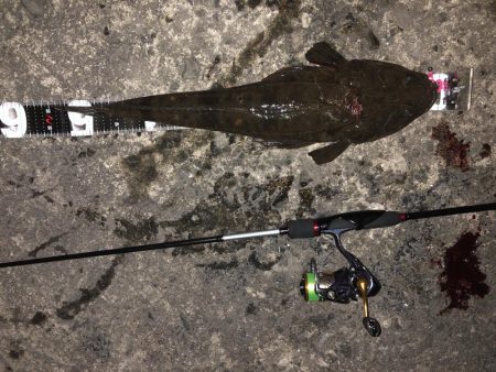 アジングでマゴチ