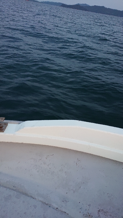 ボートキャスティング